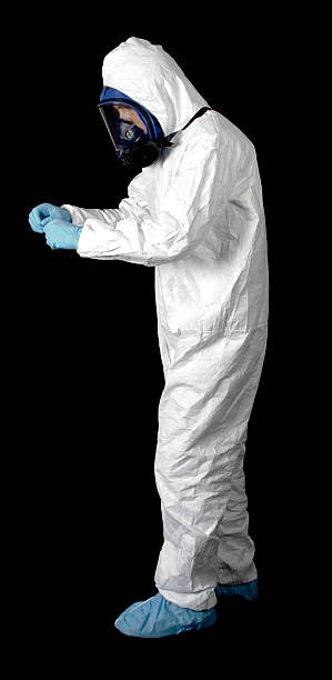 Best Basement Mold Removal  in Jackpot, NV