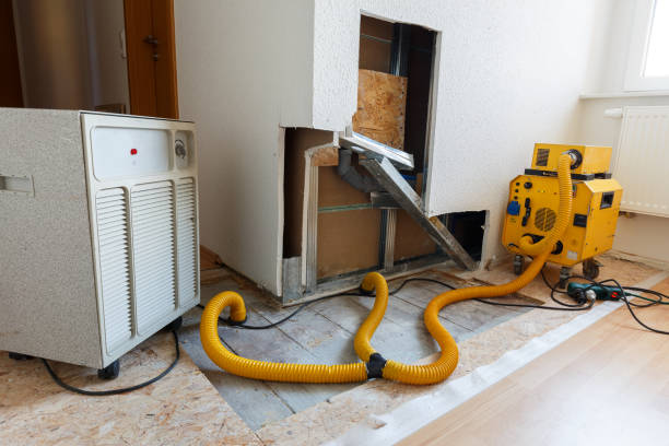 Best Indoor Air Quality Assessment  in Jackpot, NV